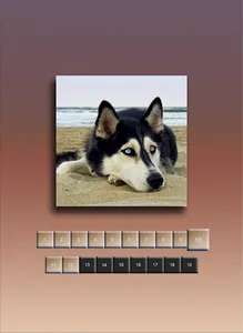 Quick Puzzle - Dogs screenshot 7