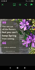Image Quote Maker, Inspiring L screenshot 3
