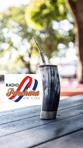 RADIO PAREHARA screenshot 1