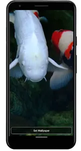 Real pond with Koi screenshot 2