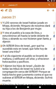 Reina Valera Biblia screenshot 13