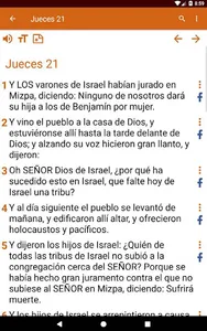 Reina Valera Biblia screenshot 21