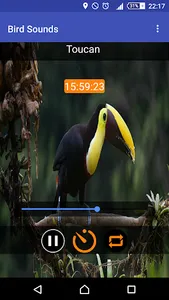 Relax & Sleep with Bird Sounds screenshot 0