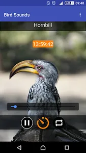 Relax & Sleep with Bird Sounds screenshot 3