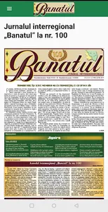 Banatul screenshot 0