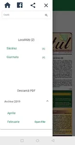 Banatul screenshot 4