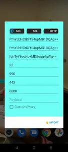 VPNr screenshot 2