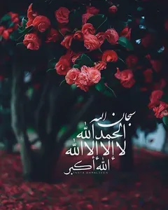 الرقية الشرعية لشيخ ادريس ابكر screenshot 9