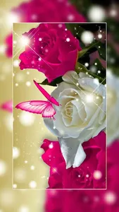 Rose Wallpaper : Flowers screenshot 11