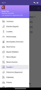 Skopin Bus screenshot 0