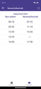 Skopin Bus screenshot 2