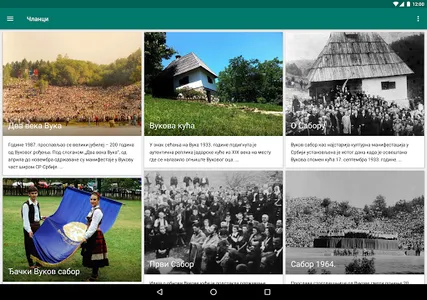 Vukov sabor screenshot 11