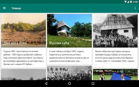 Vukov sabor screenshot 6