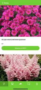 Татьянин Сад screenshot 0