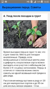 Выращивание перца. Советы screenshot 3