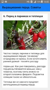 Выращивание перца. Советы screenshot 5
