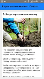 Выращивание малины. Советы screenshot 1
