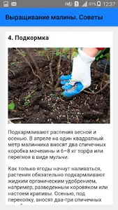 Выращивание малины. Советы screenshot 4
