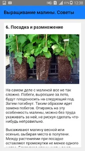 Выращивание малины. Советы screenshot 6
