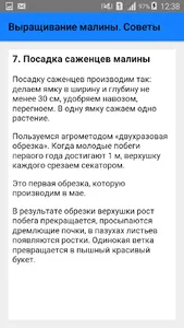 Выращивание малины. Советы screenshot 7