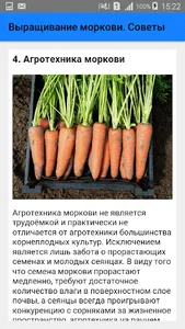 Выращивание моркови. Советы screenshot 3