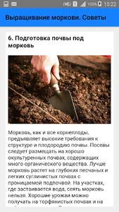 Выращивание моркови. Советы screenshot 5