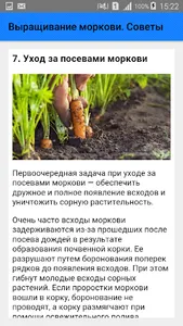 Выращивание моркови. Советы screenshot 6