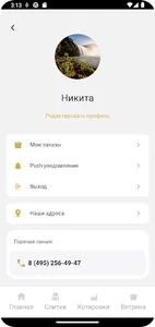 Аналемма screenshot 2