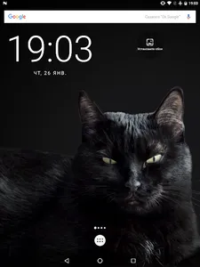 Cute Black Cat Live Wallpaper screenshot 10