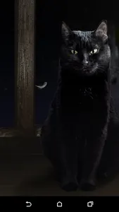 Cute Black Cat Live Wallpaper screenshot 3