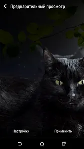 Cute Black Cat Live Wallpaper screenshot 4