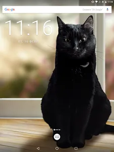 Cute Black Cat Live Wallpaper screenshot 5