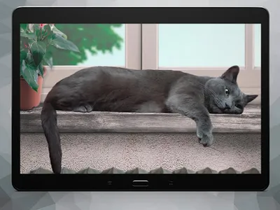 Cute Lazy Cat Live Wallpaper screenshot 4