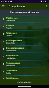 Птицы России screenshot 1