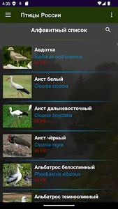 Птицы России screenshot 2