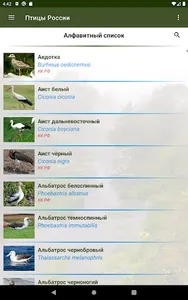 Птицы России screenshot 7