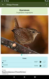 Птицы России screenshot 8