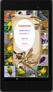 Игра на память. Птицы. 6+ screenshot 12