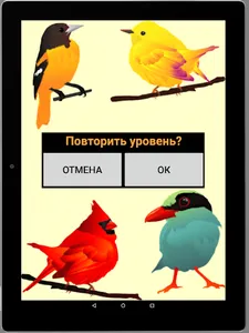 Игра на память. Птицы. 6+ screenshot 15