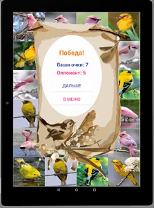 Игра на память. Птицы. 6+ screenshot 18