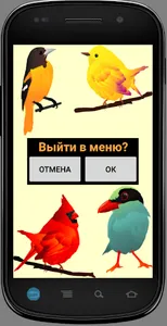 Игра на память. Птицы. 6+ screenshot 2