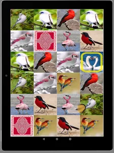 Игра на память. Птицы. 6+ screenshot 20