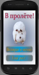 Игра на память. Птицы. 6+ screenshot 4