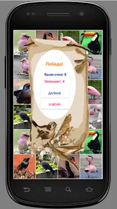 Игра на память. Птицы. 6+ screenshot 6