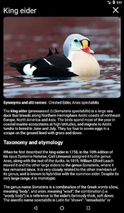 Birds of North America: Decoys screenshot 11