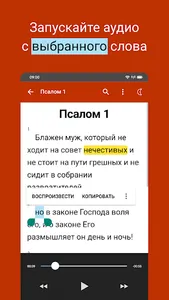 Псалтирь на русском: Слушать! screenshot 1