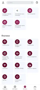 SolidPAY screenshot 2