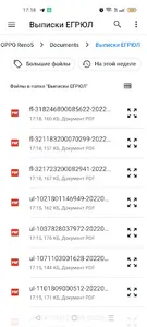 Выписки ЕГРЮЛ/ЕГРИП из ФНС screenshot 2