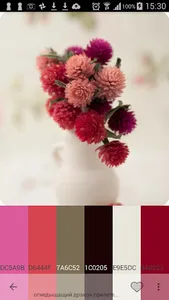 Palette Generator screenshot 0
