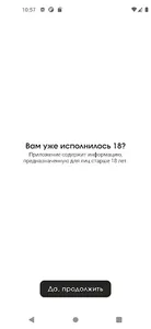 Шенбуш screenshot 5